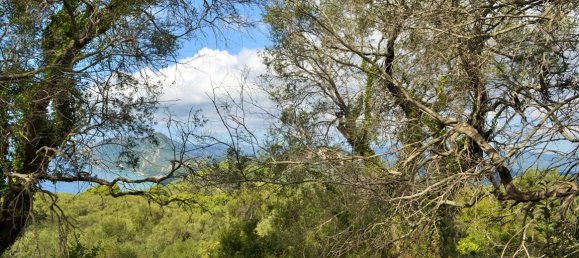  فندق في Corfu, Greece 4673متر مربع رقم 4064 2