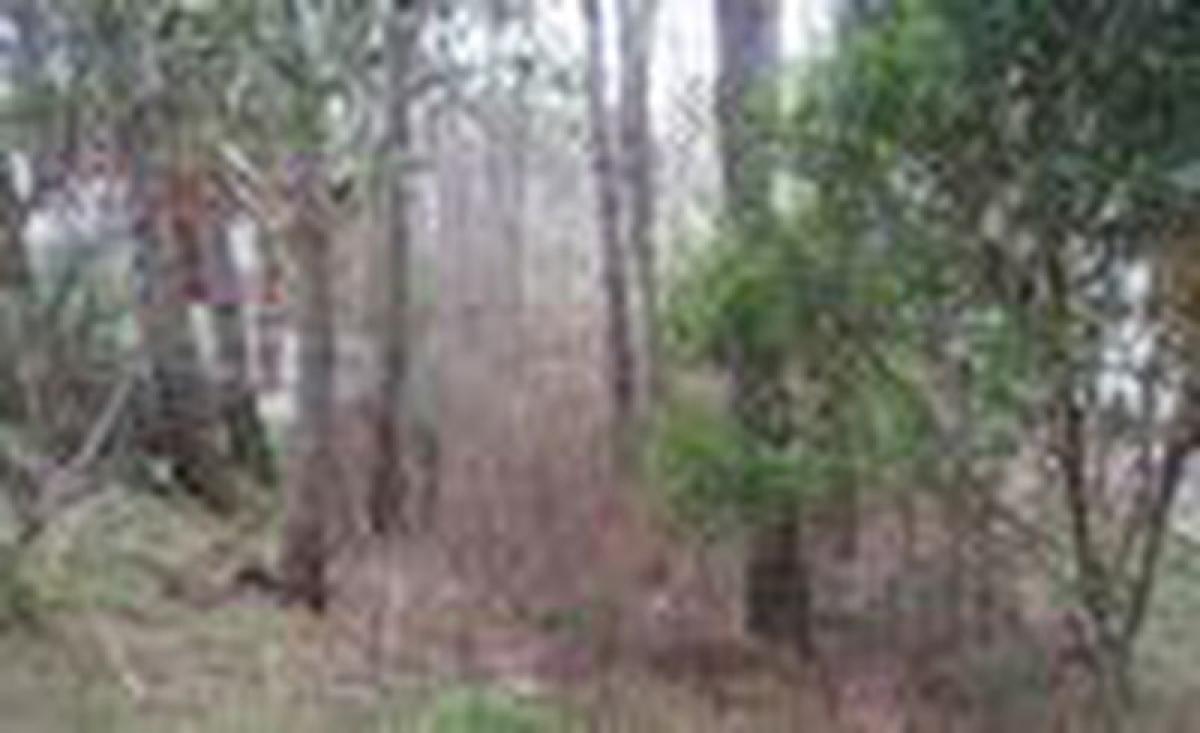 Земельный участок в Мар-дель-Плата, Аргентина № 115283