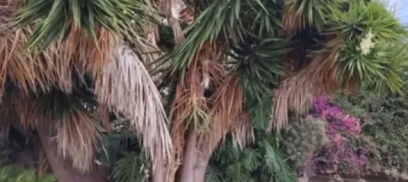 4 bedrooms House in Arucas, Spain No. 170098 3