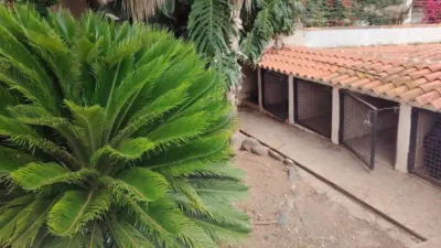 4 bedrooms House in Arucas, Spain No. 170098