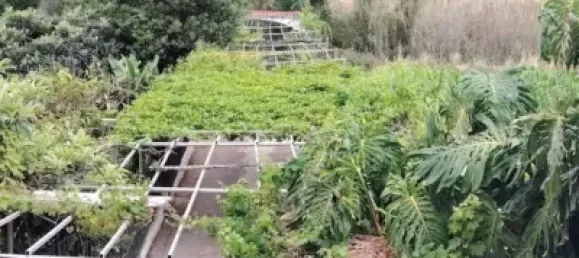 4 bedrooms House in Arucas, Spain No. 170098 6