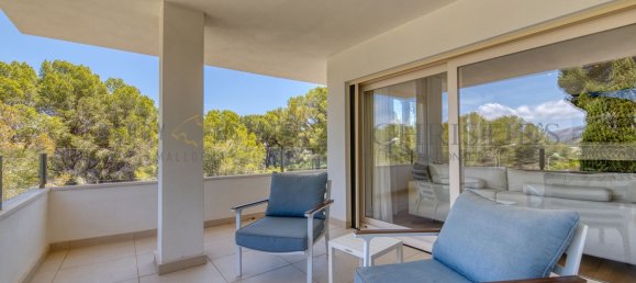 4 bedrooms Villa in Nova Santa Ponsa, Spain No. 152634 16