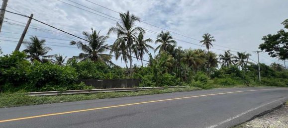  قطعة أرض في Tabanan, Indonesia 2000متر مربع رقم 3927 6