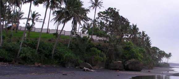  قطعة أرض في Tabanan, Indonesia 2000متر مربع رقم 3927 4