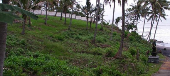  قطعة أرض في Tabanan, Indonesia 2000متر مربع رقم 3927 3