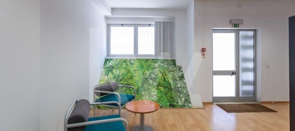 Gewerbliche Immobilie in Amadora, Portugal 187m², Nr. 87670 13