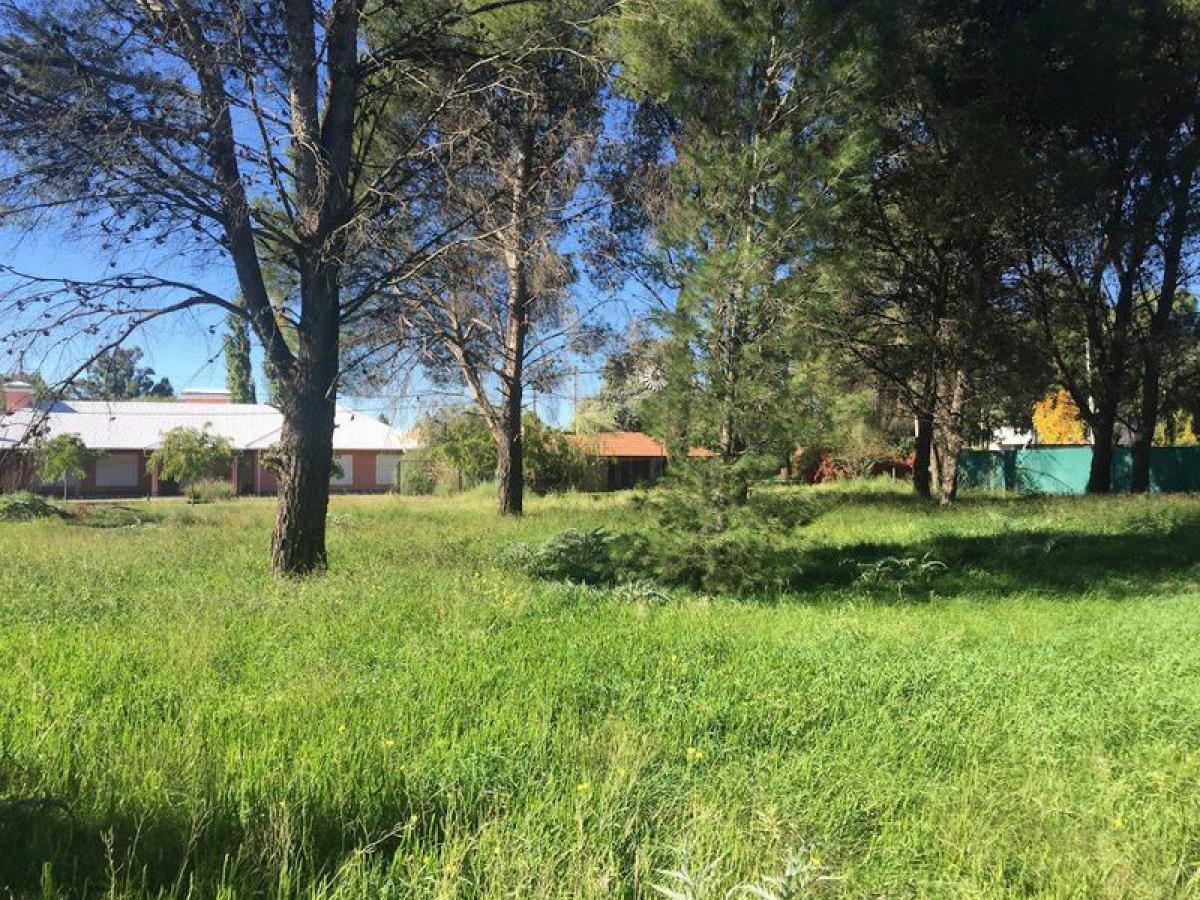  Land in Buenos Aires, Argentina No. 118111