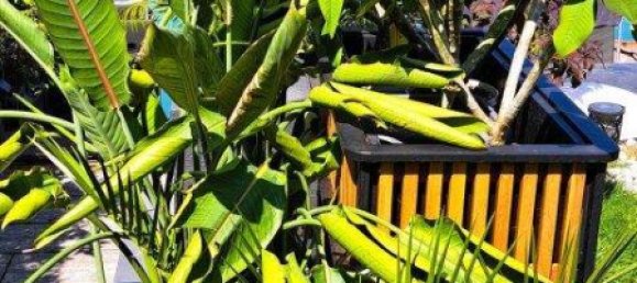 3غرفة منزل في Munchendorf, Austria رقم 238935 24