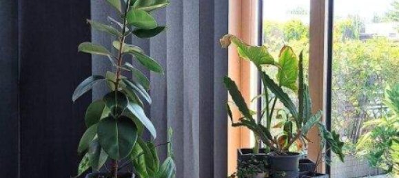 3غرفة منزل في Munchendorf, Austria رقم 238935 18