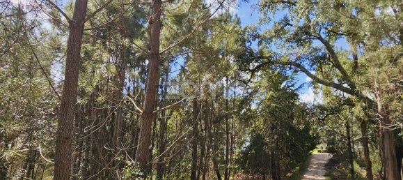 6 Schlafzimmer Haus in Serta, Portugal, Nr. 150416 24