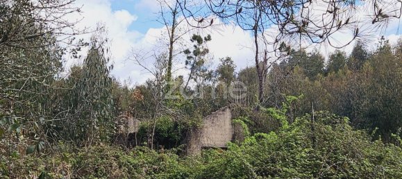 6 Schlafzimmer Haus in Serta, Portugal, Nr. 150416 26