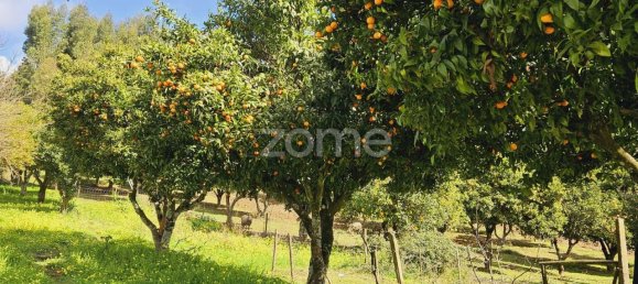 6 Schlafzimmer Haus in Serta, Portugal, Nr. 150416 4