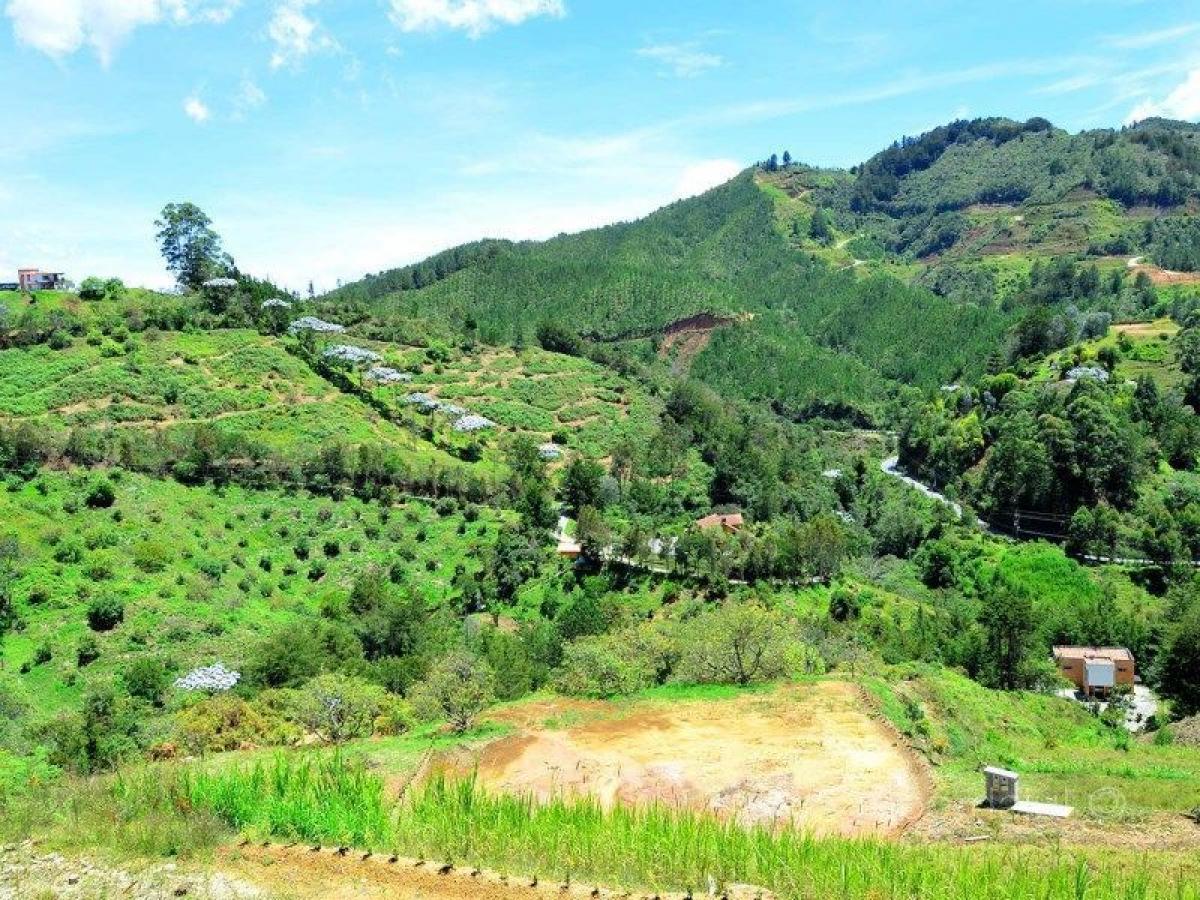  قطعة أرض في Antioquia, Colombia رقم 260