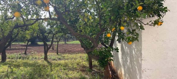 3 bedrooms Villa in Polignano a Mare, Italy No. 19183 20