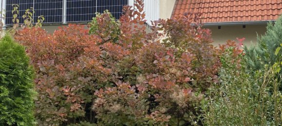 3 rooms Apartment in Bamberg, Germany No. 4890 12