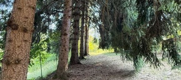 8 غرف نوم منزل في Cuneo, Italy رقم 375920 13