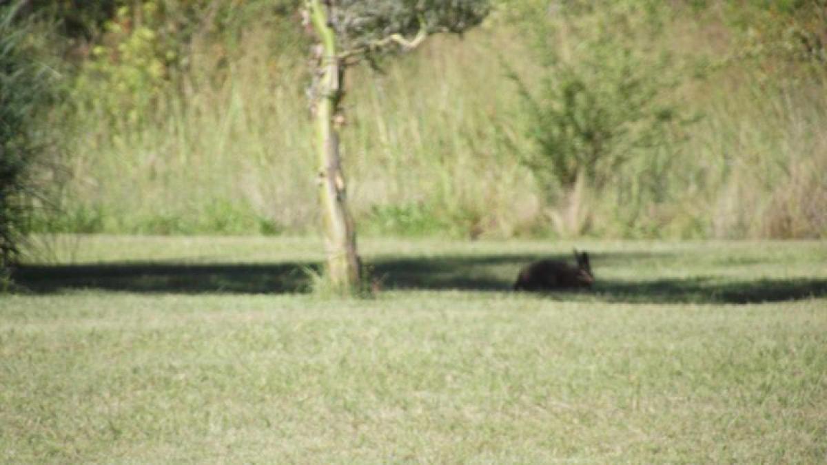  Land in Cordoba, Argentina No. 47240