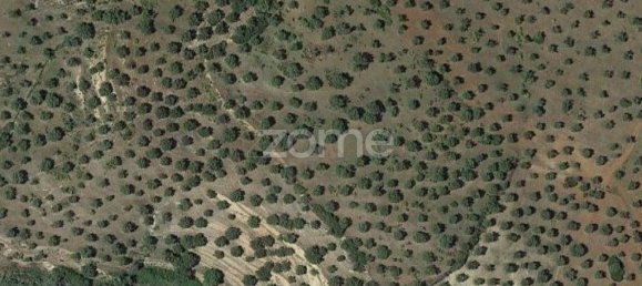 Grundstück in Moura, Portugal, Nr. 37465 3