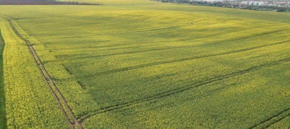 Grundstück in Mansfeld-Südharz, Germany, Nr. 327626 9