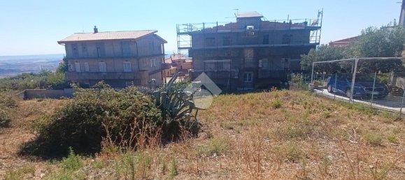 1440m² Land in Cropani, Italy No. 318068 12