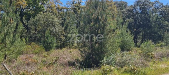 Terrain à Palmela, Portugal 315m² No. 92153 4