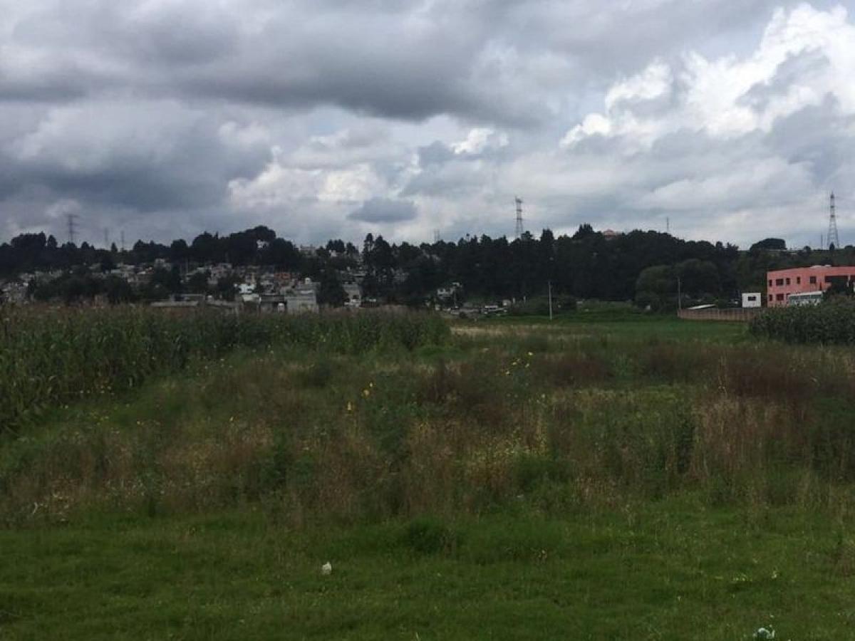 Grundstück in Ocoyoacac, Mexico, Nr. 203068