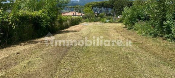 قطعة أرض في Massa, Italy 2310متر مربع رقم 349283 2