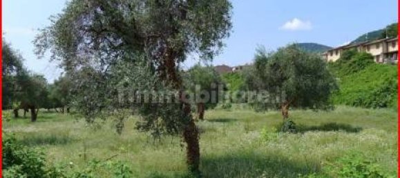 5 غرف نوم شقة في Seravezza, Italy رقم 268255 7