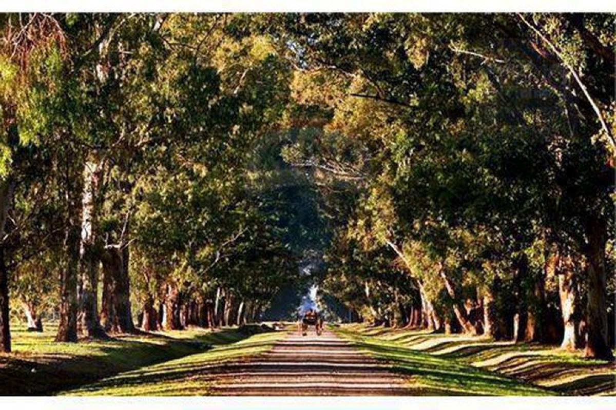  Land in Ezeiza, Argentina No. 111195