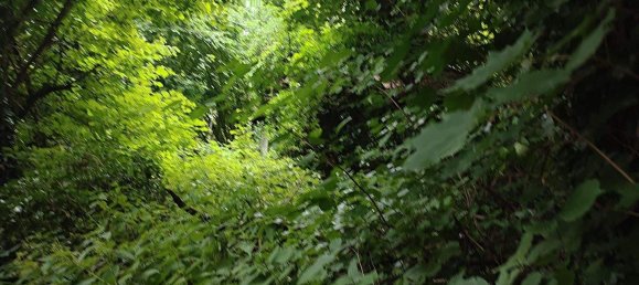 Grundstück in Wolfsberg, Austria, Nr. 255414 3