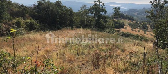 2 Schlafzimmer Wohnung in Caprese Michelangelo, Italy, Nr. 151916 9