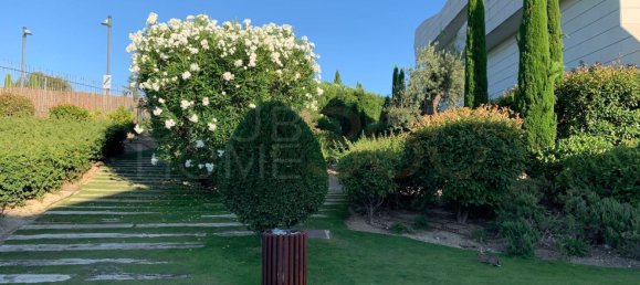 4 bedrooms House in Pozuelo de Alarcon, Spain No. 24146 24