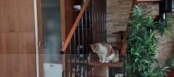 Студия в Капонаго, Италия № 4133 7