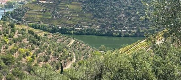 6 bedrooms House in Pinhao, Portugal No. 189245 6