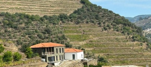 6 bedrooms House in Pinhao, Portugal No. 189245 10