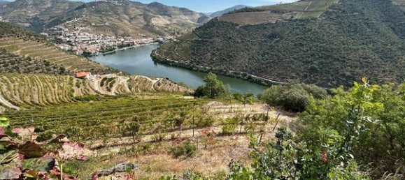 6 bedrooms House in Pinhao, Portugal No. 189245 2