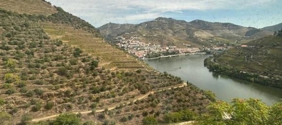 6 bedrooms House in Pinhao, Portugal No. 189245 4