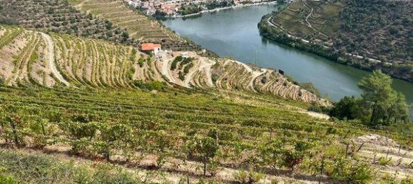 6 bedrooms House in Pinhao, Portugal No. 189245 12