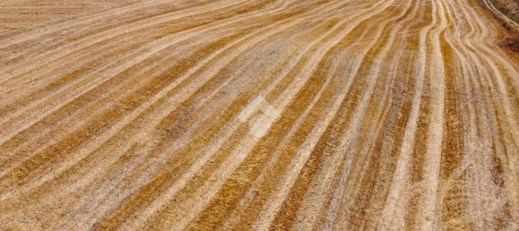 Terreno em Tarquinia, Italy 174791 m² N.º 288583 6