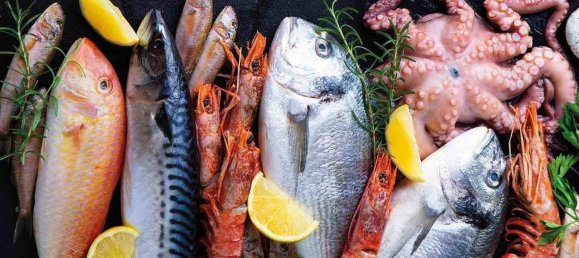 4-Zimmer Gewerbliche Immobilie in Montegrotto Terme, Italy, Nr. 55035 3