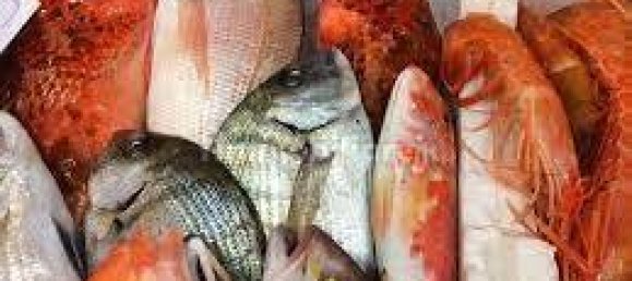 4-Zimmer Gewerbliche Immobilie in Montegrotto Terme, Italy, Nr. 55035 4