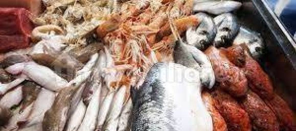 4-Zimmer Gewerbliche Immobilie in Montegrotto Terme, Italy, Nr. 55035 5