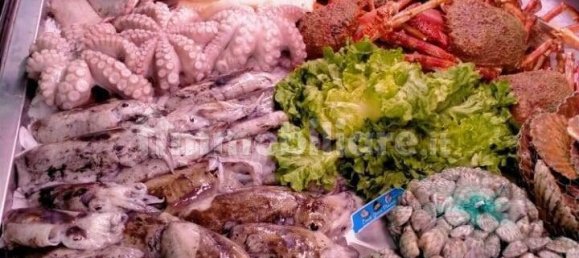 4-Zimmer Gewerbliche Immobilie in Montegrotto Terme, Italy, Nr. 55035 9