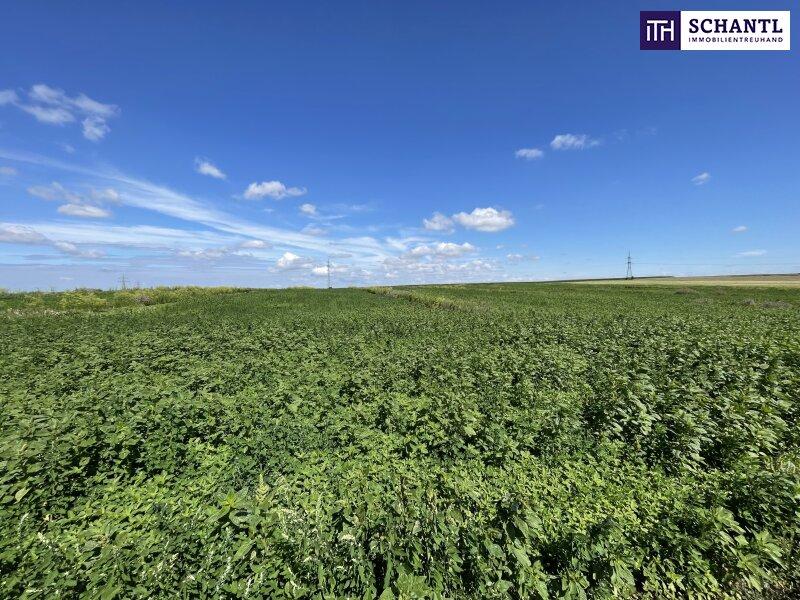  قطعة أرض في Moosbrunn, Austria رقم 255190