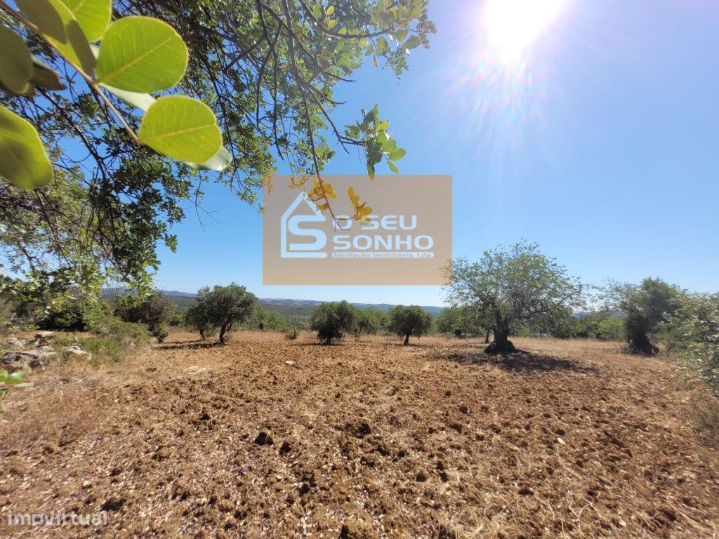 4800m² Land in Sao Bras de Alportel, Portugal No. 215332