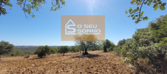 4800m² Land in Sao Bras de Alportel, Portugal No. 215332 8