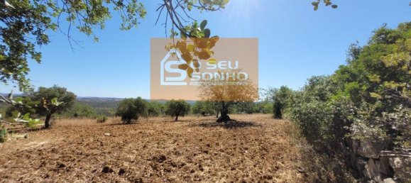 4800m² Land in Sao Bras de Alportel, Portugal No. 215332 7