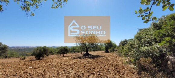4800m² Land in Sao Bras de Alportel, Portugal No. 215332 9