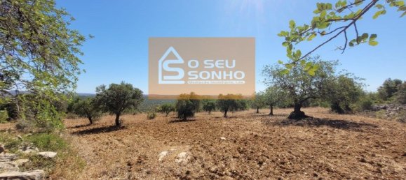 4800m² Land in Sao Bras de Alportel, Portugal No. 215332 5