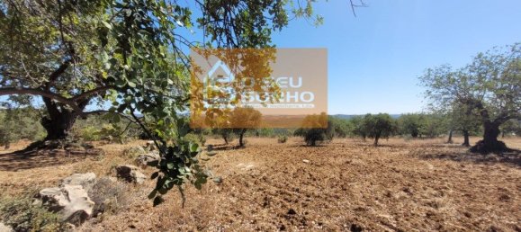 4800m² Land in Sao Bras de Alportel, Portugal No. 215332 3